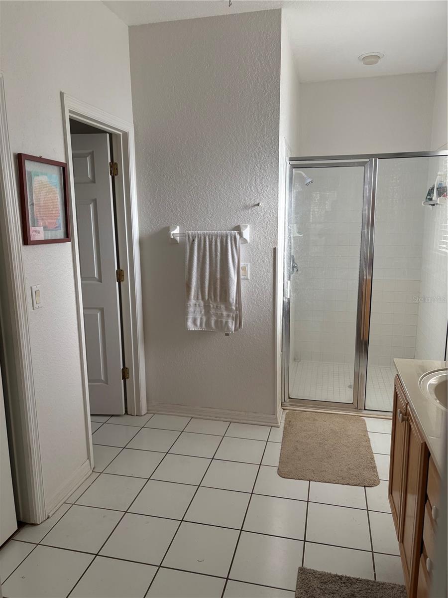 9014 HEATHLAND CT, MOUNT DORA, FL, 32757