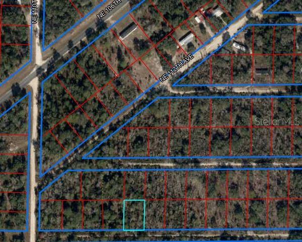 NE 66TH ST, WILLISTON, FL, 32696