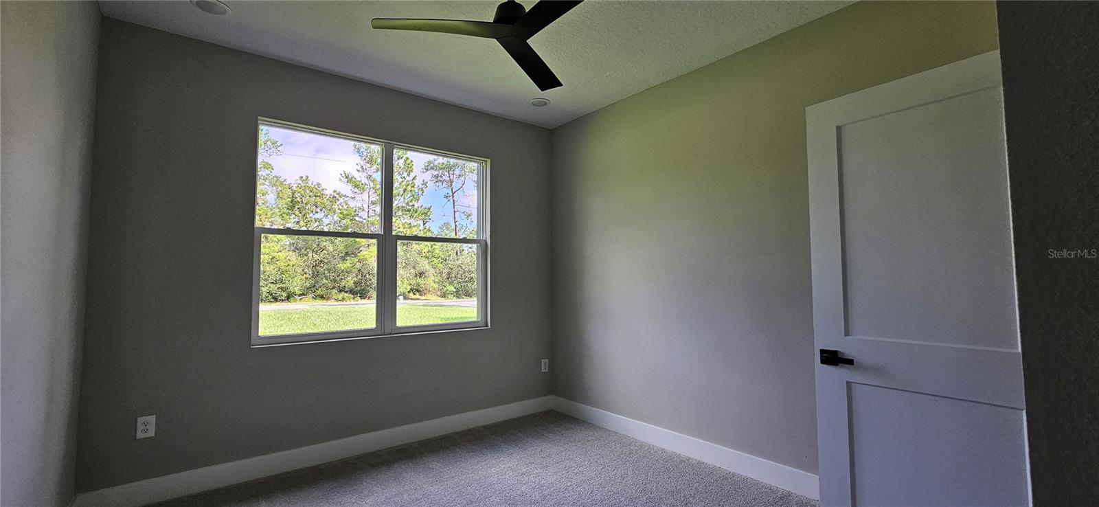 42200 CHINABERRY ST, EUSTIS, FL, 32736