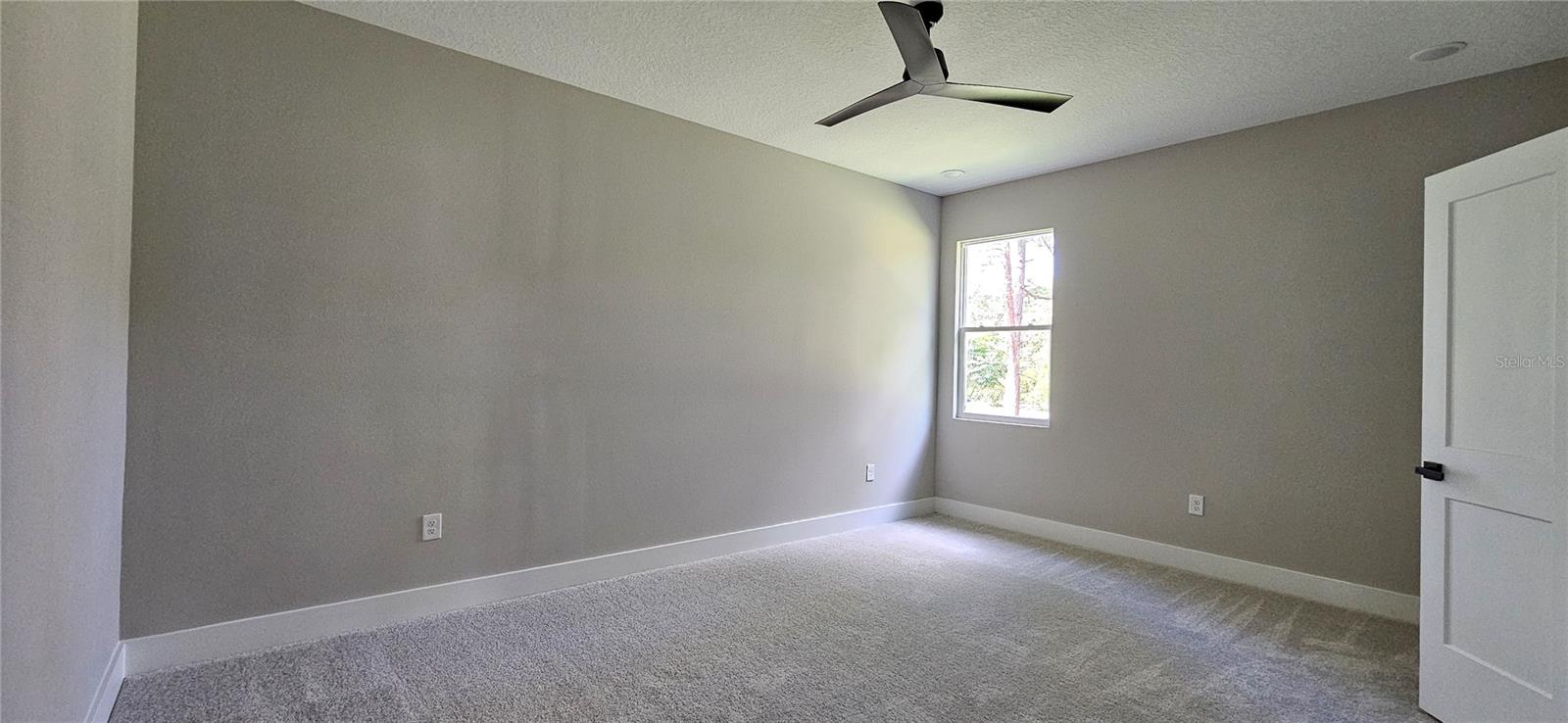 42200 CHINABERRY ST, EUSTIS, FL, 32736