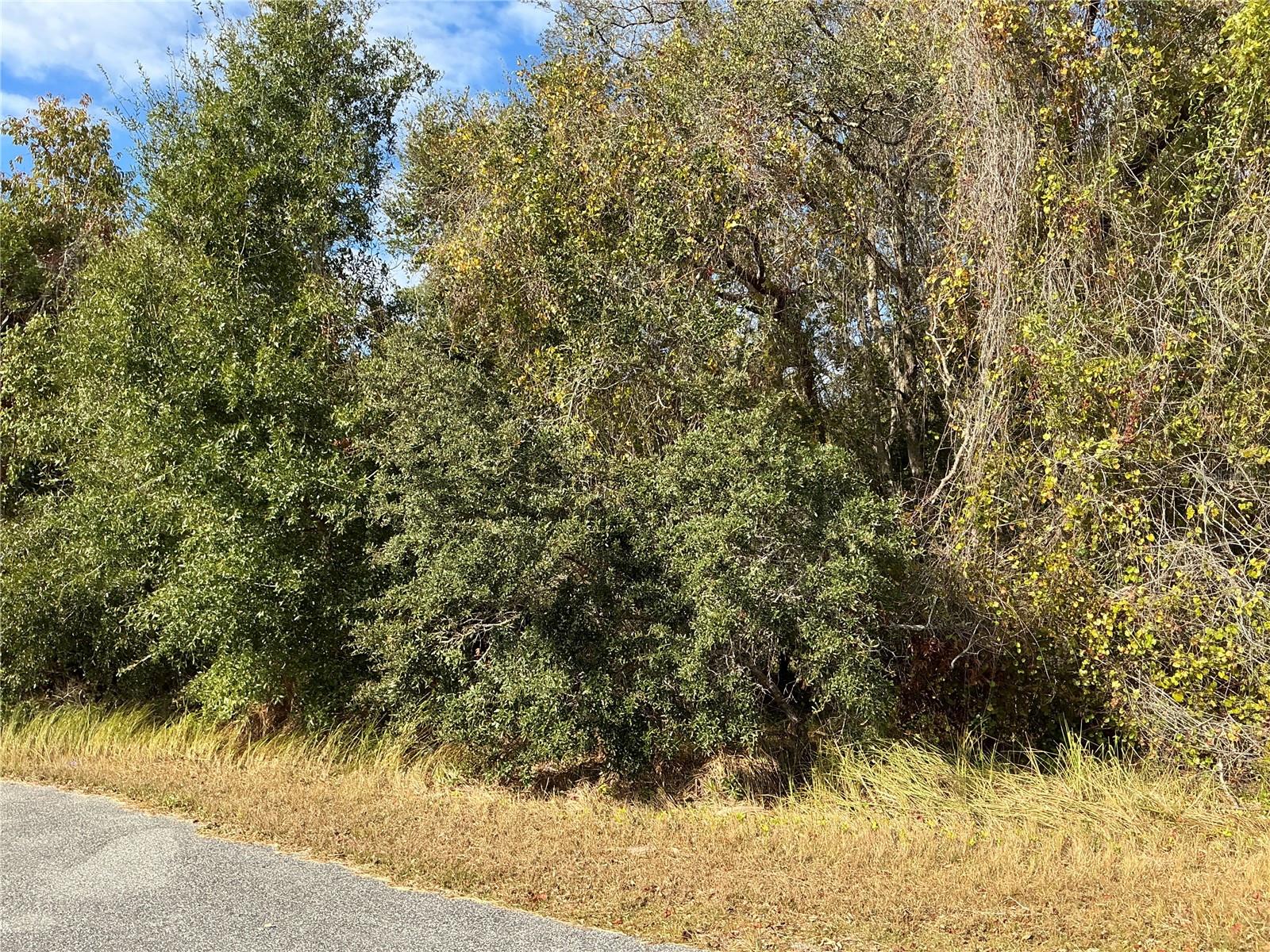 SPRUCE TER, OCALA, FL, 34472