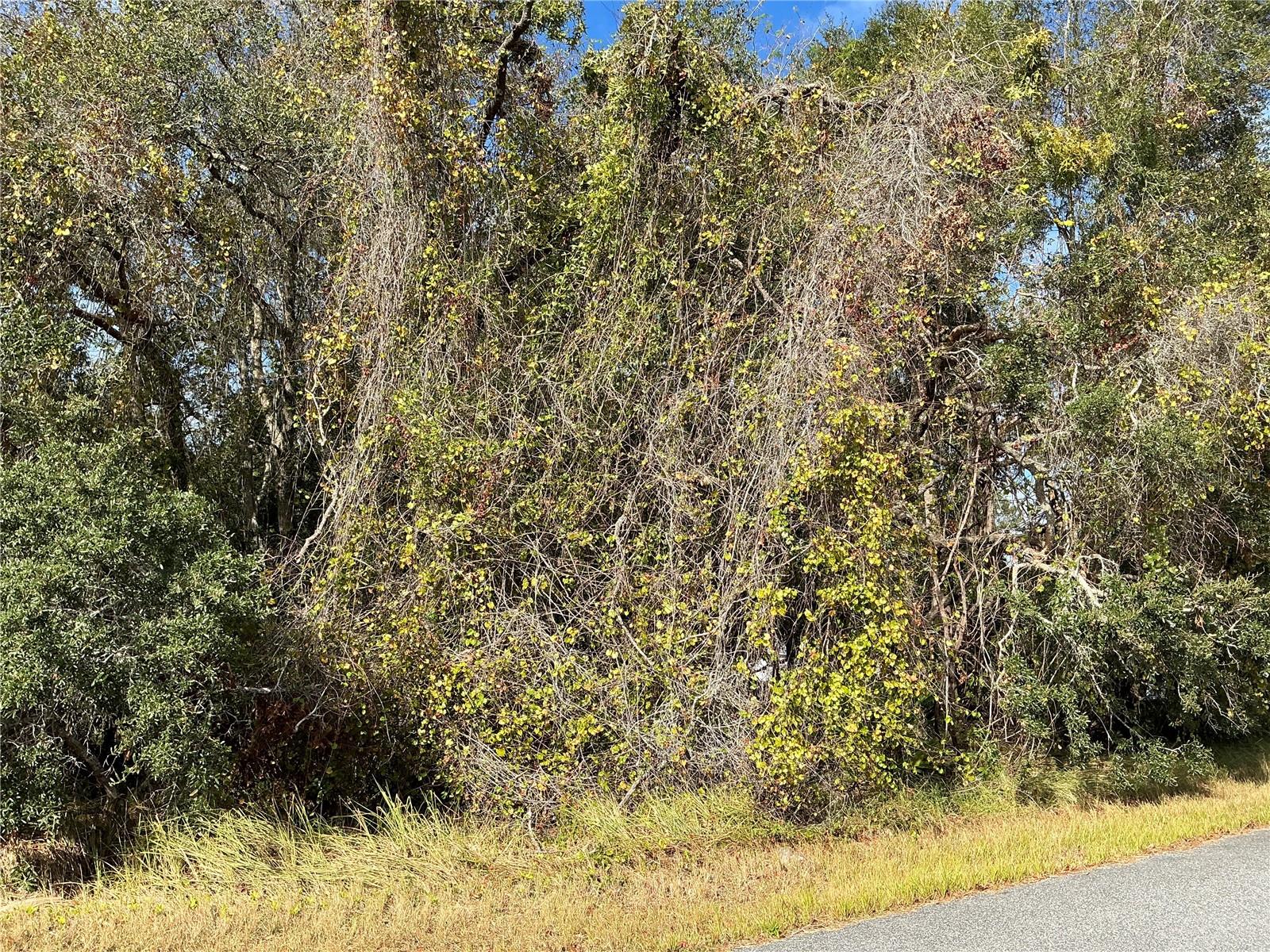 SPRUCE TER, OCALA, FL, 34472