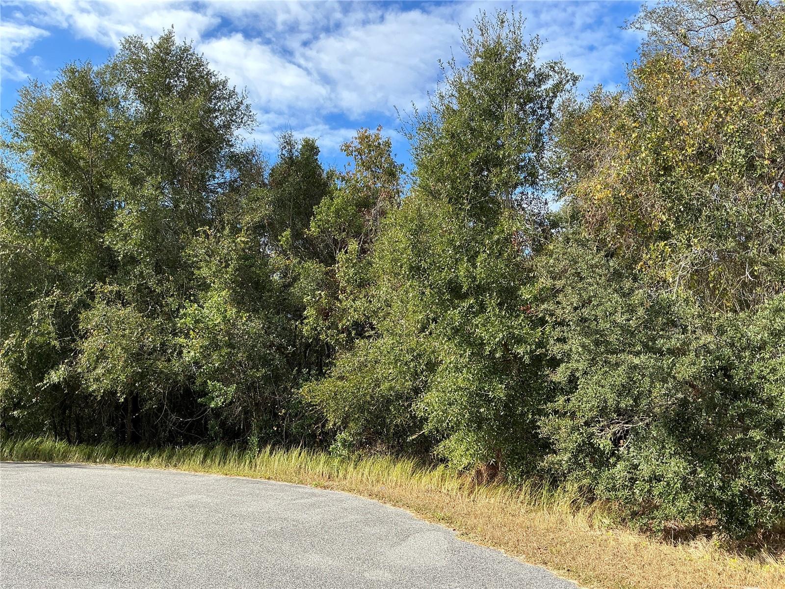 SPRUCE TER, OCALA, FL, 34472