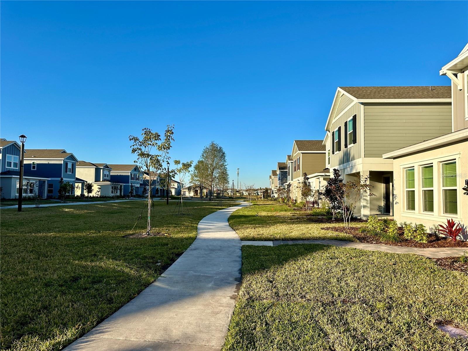 7170 SUMMER IVY ALY, ORLANDO, FL, 32829