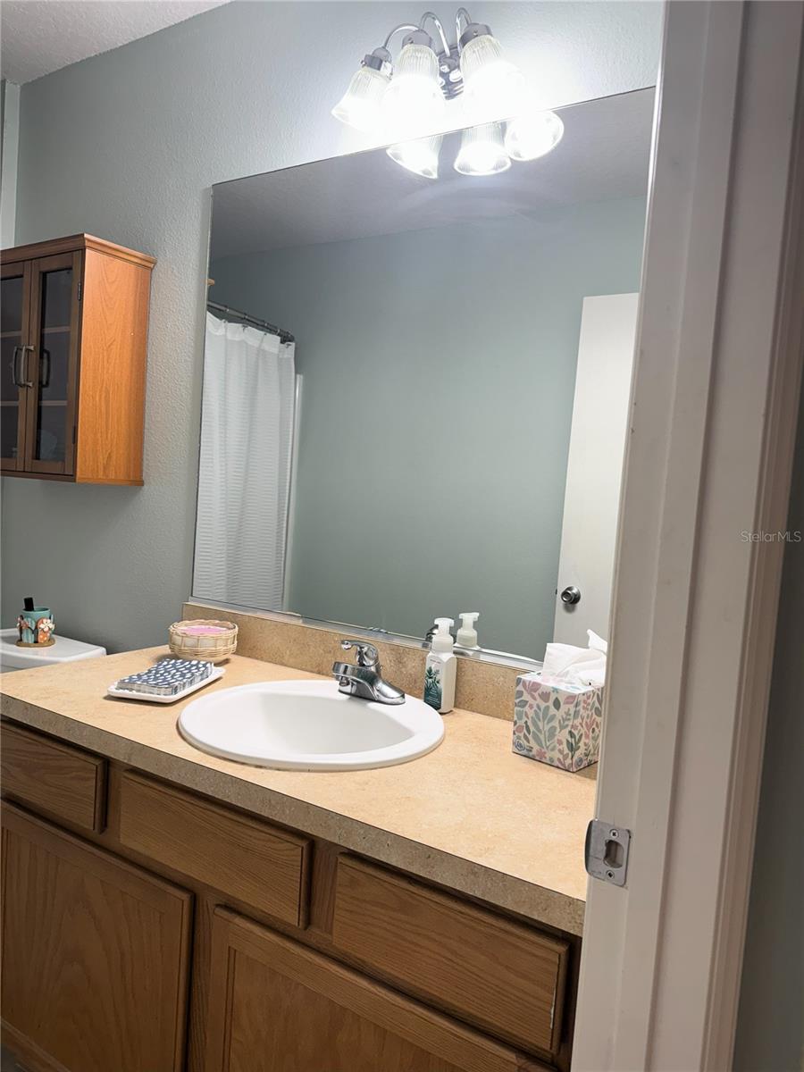 384 ARBELLA LOOP, THE VILLAGES, FL, 32162