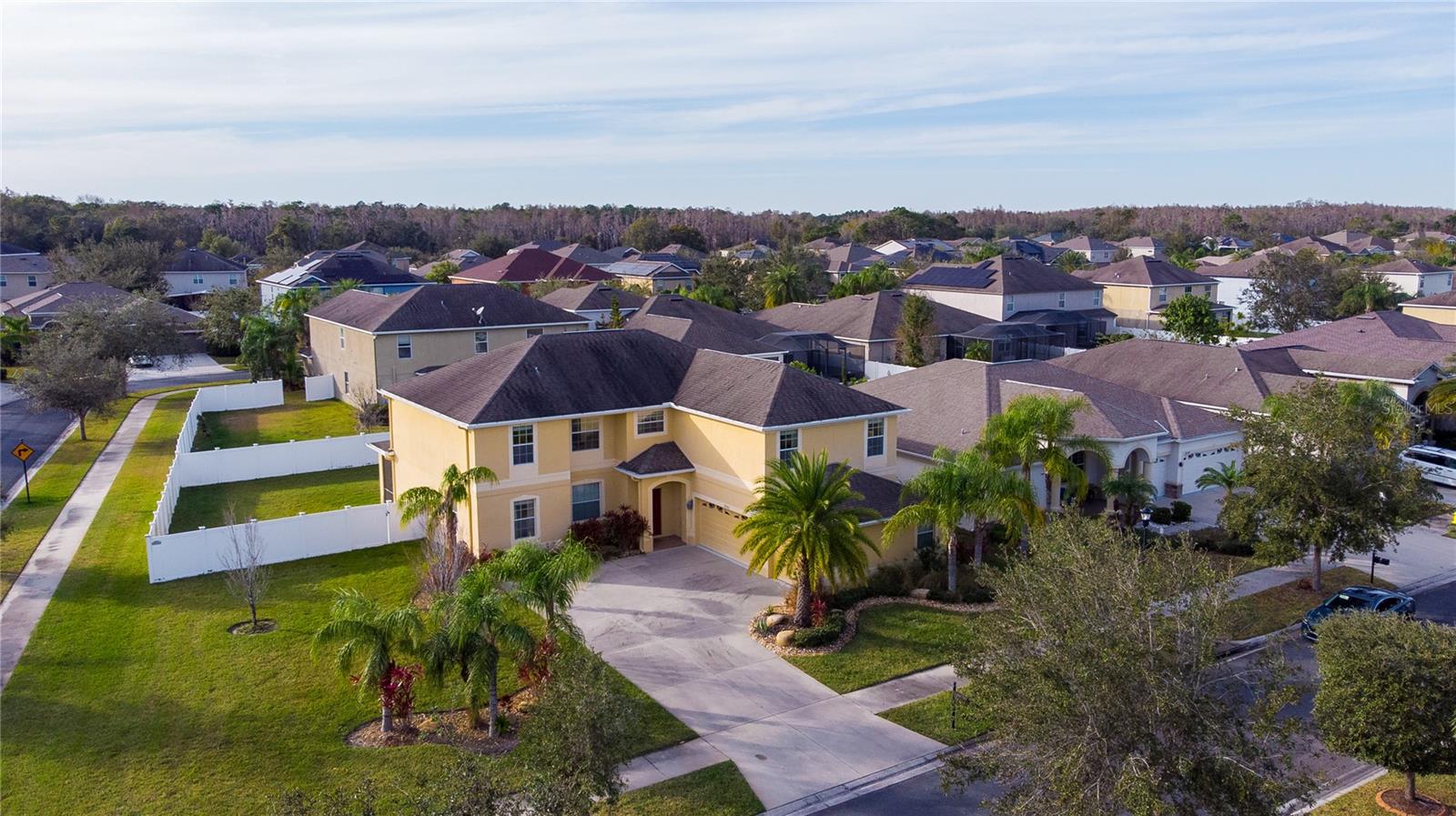 20102 BLUE DAZE AVE, TAMPA, FL, 33647
