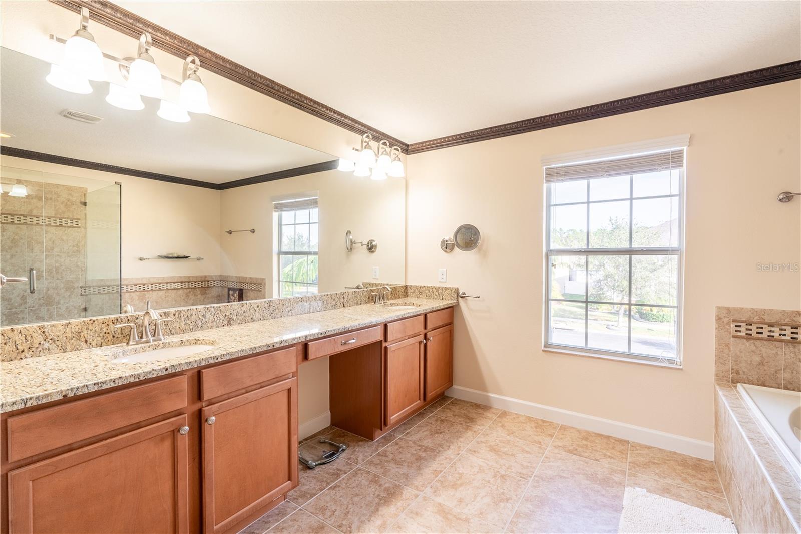 20102 BLUE DAZE AVE, TAMPA, FL, 33647