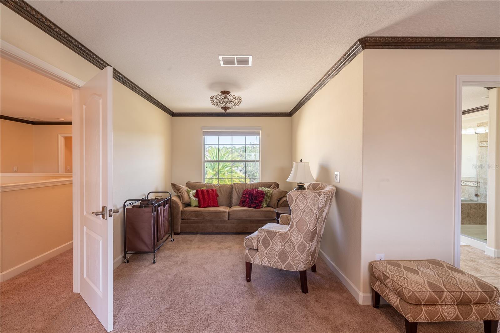 20102 BLUE DAZE AVE, TAMPA, FL, 33647