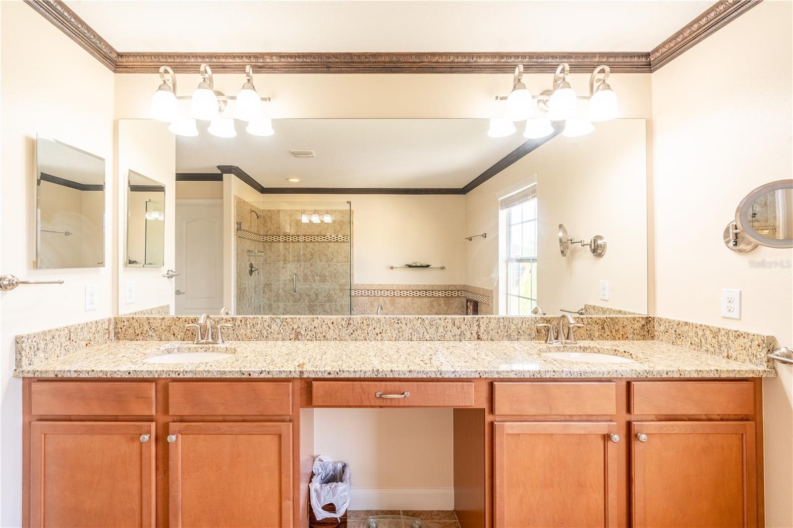 20102 BLUE DAZE AVE, TAMPA, FL, 33647