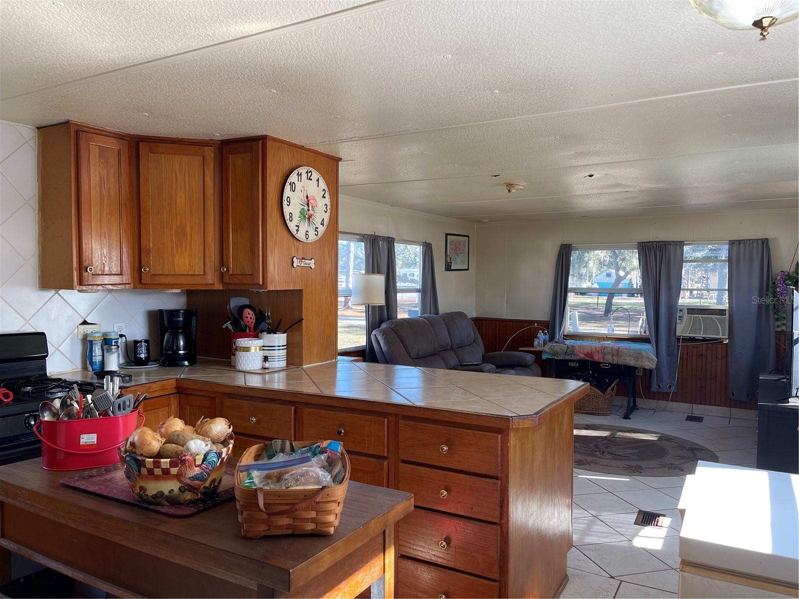 16883 JOSHUA TREE LN, HUDSON, FL, 34667