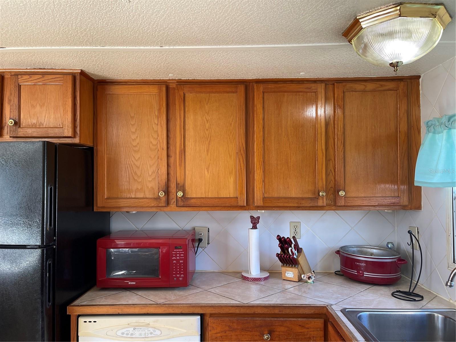16883 JOSHUA TREE LN, HUDSON, FL, 34667