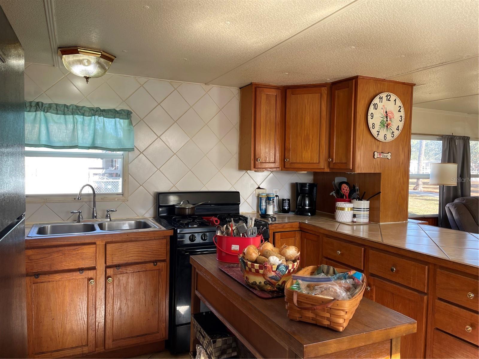 16883 JOSHUA TREE LN, HUDSON, FL, 34667