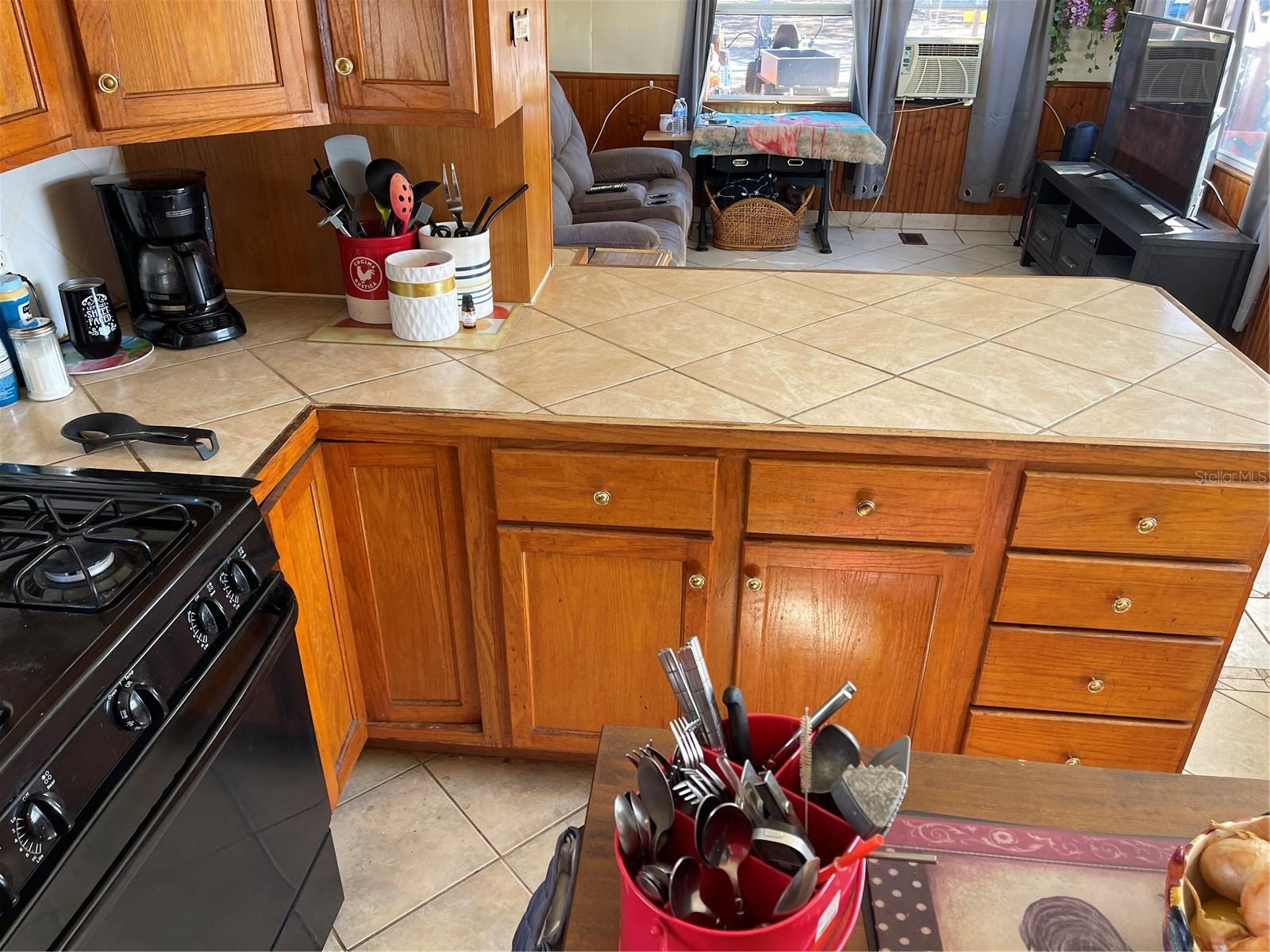 16883 JOSHUA TREE LN, HUDSON, FL, 34667