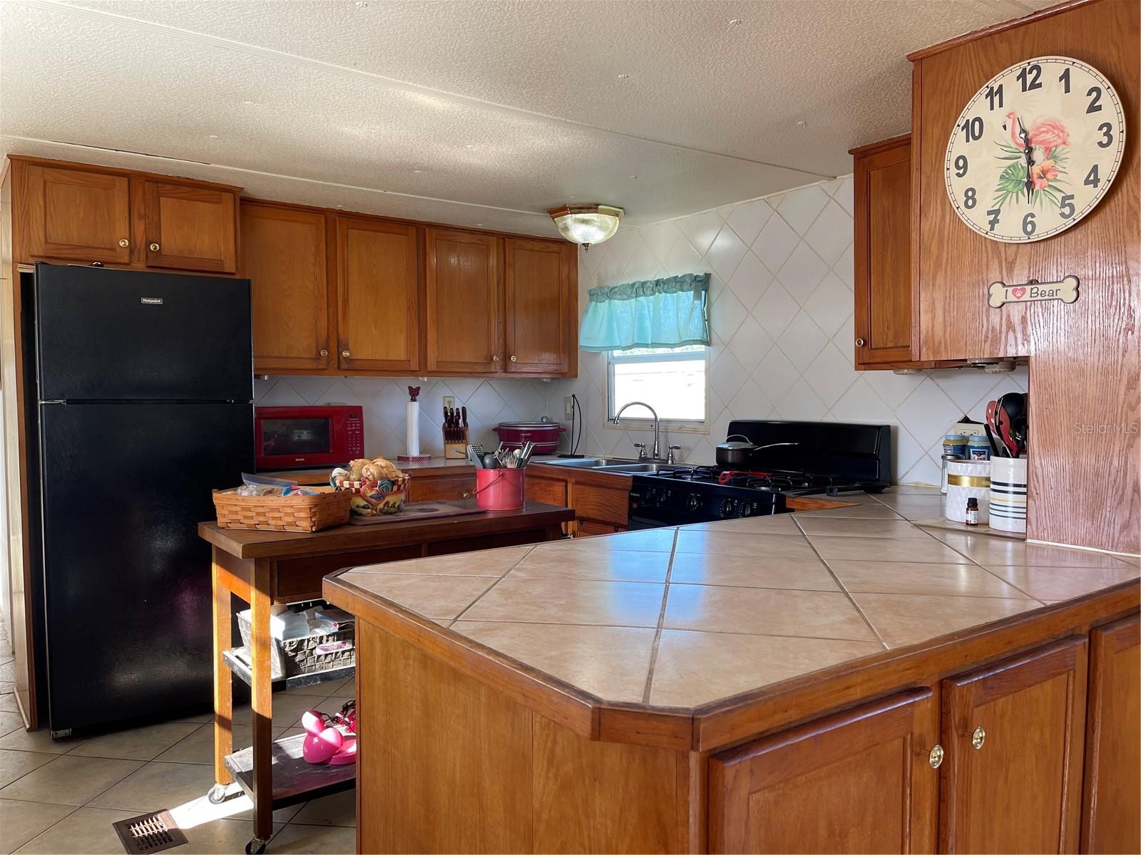 16883 JOSHUA TREE LN, HUDSON, FL, 34667