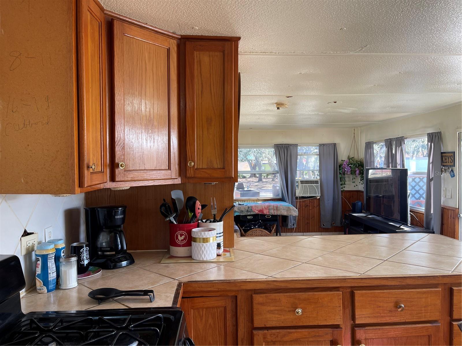 16883 JOSHUA TREE LN, HUDSON, FL, 34667