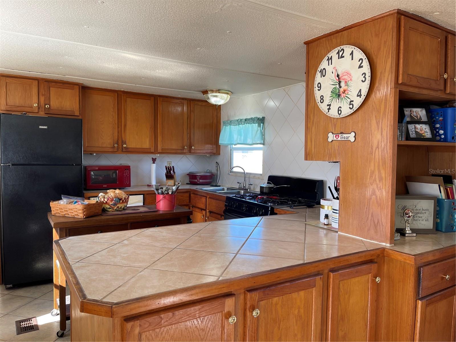 16883 JOSHUA TREE LN, HUDSON, FL, 34667