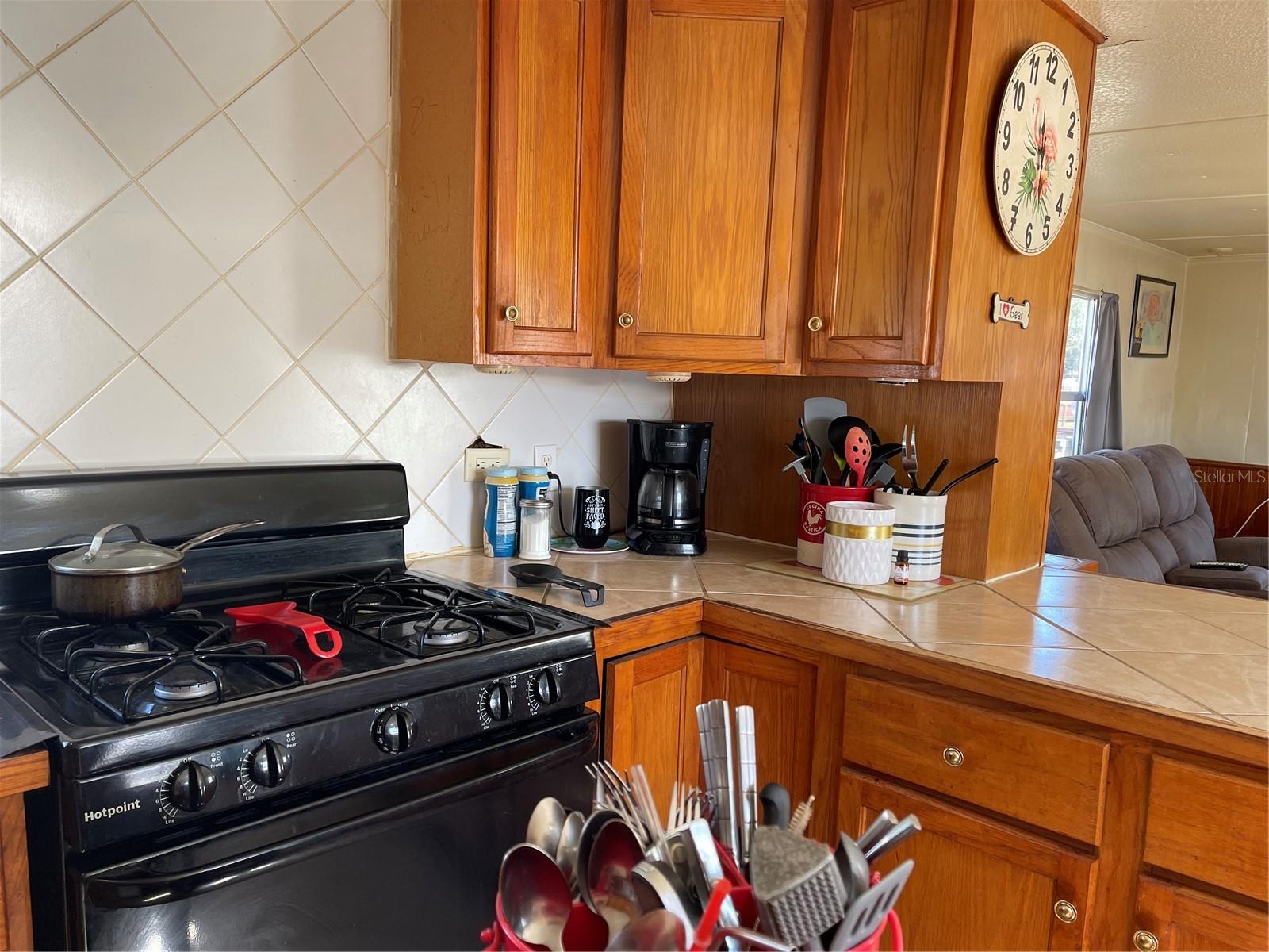 16883 JOSHUA TREE LN, HUDSON, FL, 34667