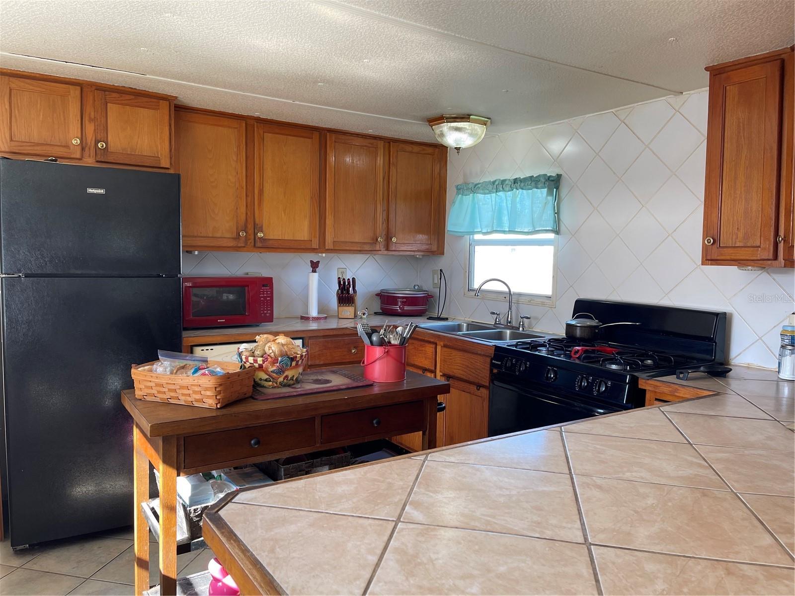 16883 JOSHUA TREE LN, HUDSON, FL, 34667
