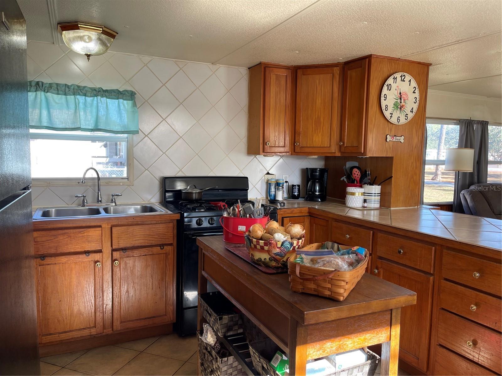 16883 JOSHUA TREE LN, HUDSON, FL, 34667