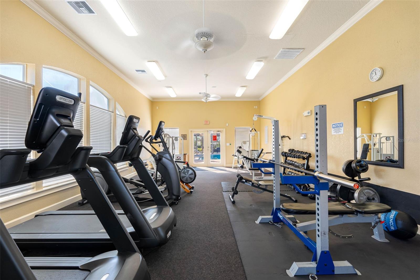 4343 BAYSIDE VILLAGE DR #104, TAMPA, FL, 33615