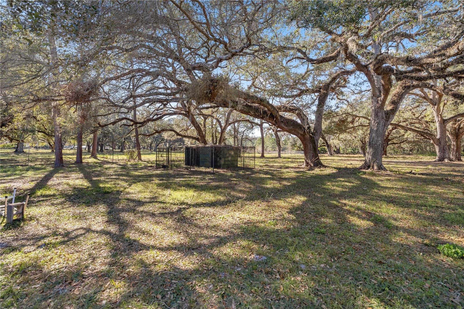 2511 SW 103RD RD, WEBSTER, FL, 33597