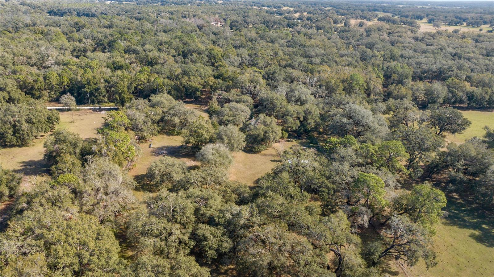 2511 SW 103RD RD, WEBSTER, FL, 33597