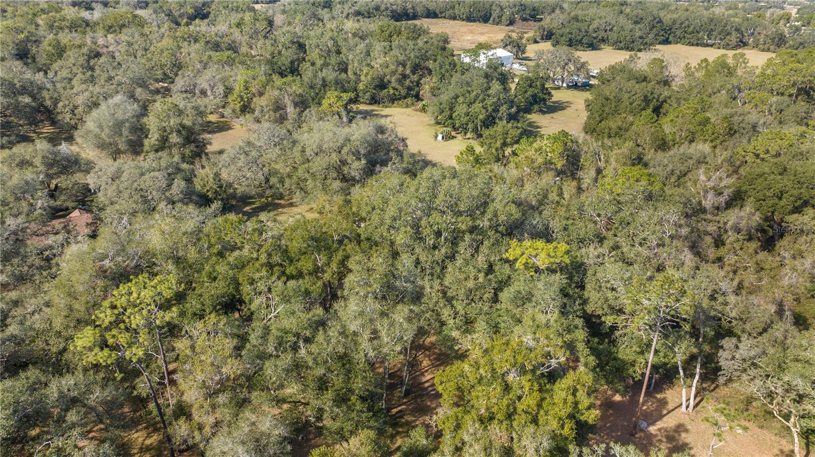 2511 SW 103RD RD, WEBSTER, FL, 33597