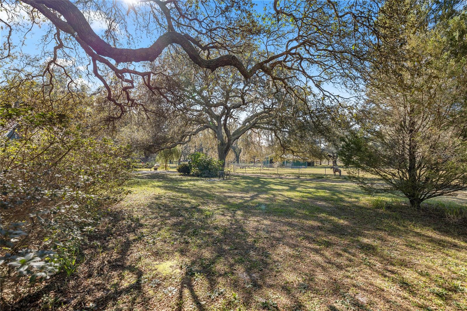 2511 SW 103RD RD, WEBSTER, FL, 33597