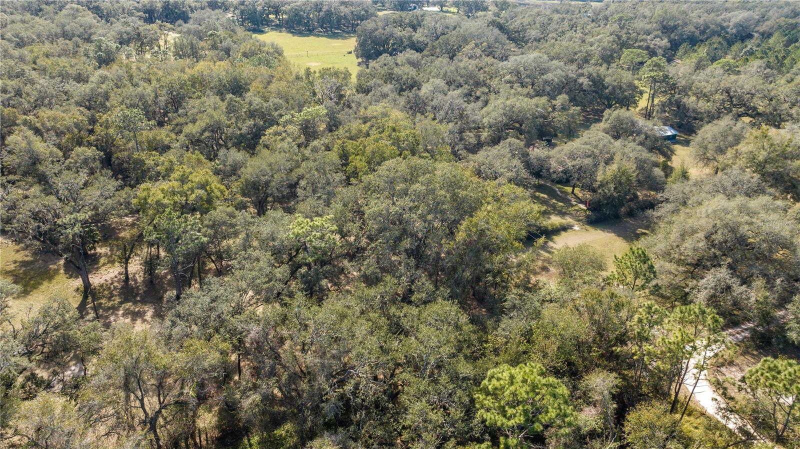 2511 SW 103RD RD, WEBSTER, FL, 33597