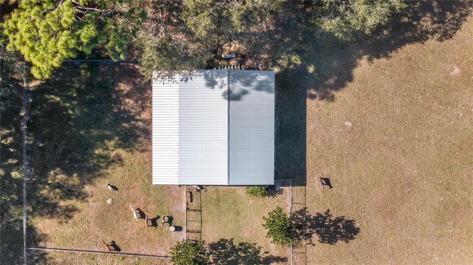 2511 SW 103RD RD, WEBSTER, FL, 33597
