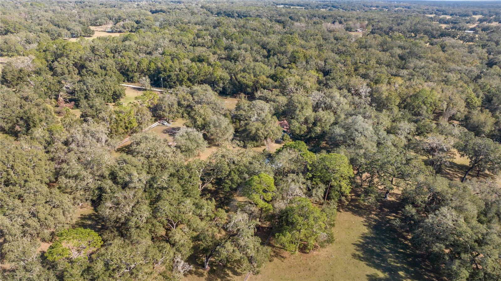 2511 SW 103RD RD, WEBSTER, FL, 33597