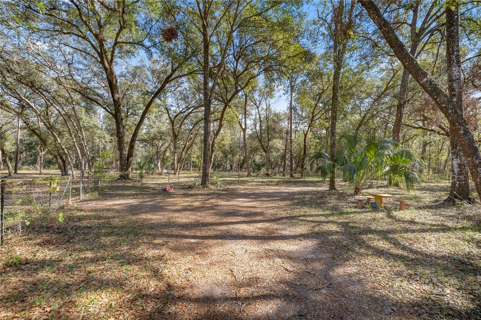 2511 SW 103RD RD, WEBSTER, FL, 33597