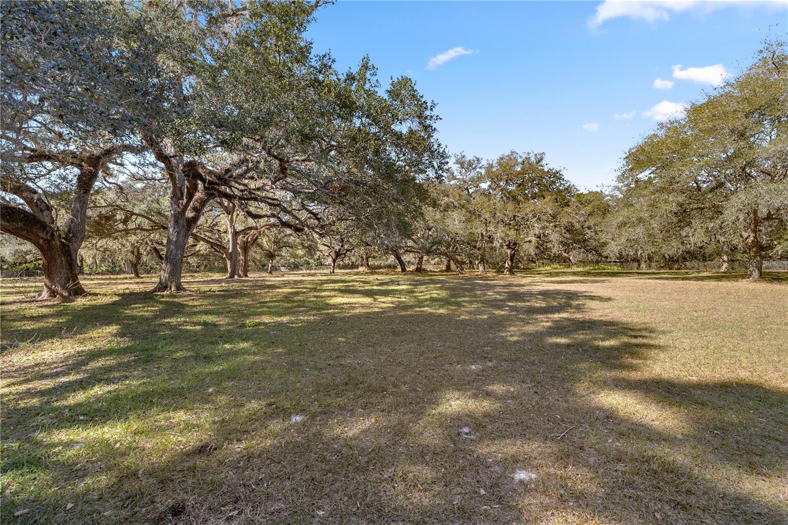 2511 SW 103RD RD, WEBSTER, FL, 33597