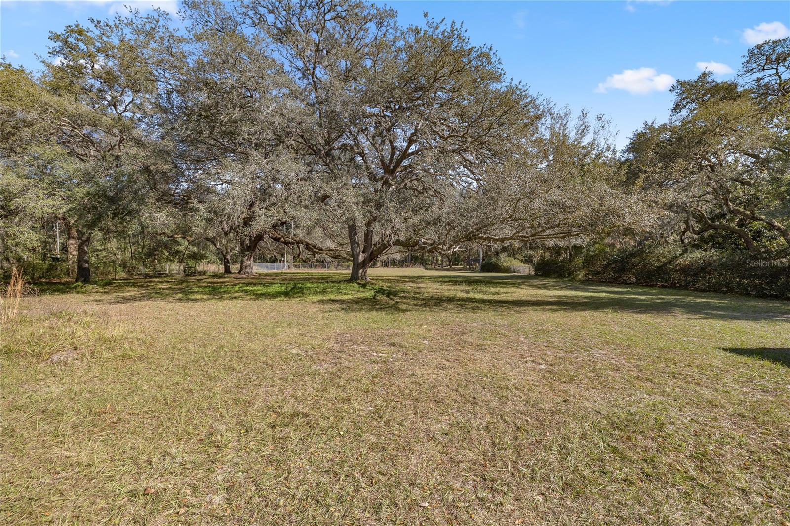 2511 SW 103RD RD, WEBSTER, FL, 33597