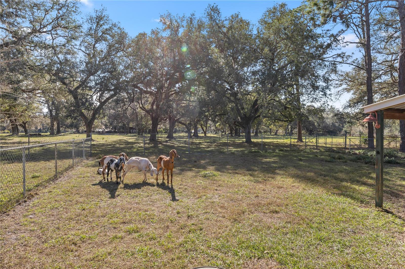 2511 SW 103RD RD, WEBSTER, FL, 33597