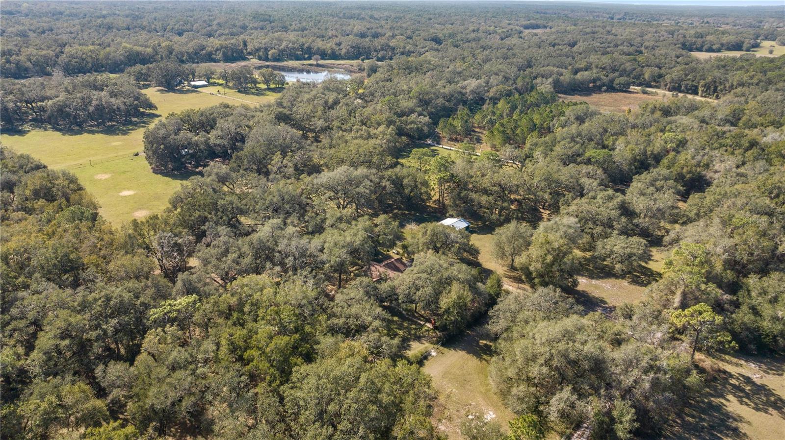 2511 SW 103RD RD, WEBSTER, FL, 33597