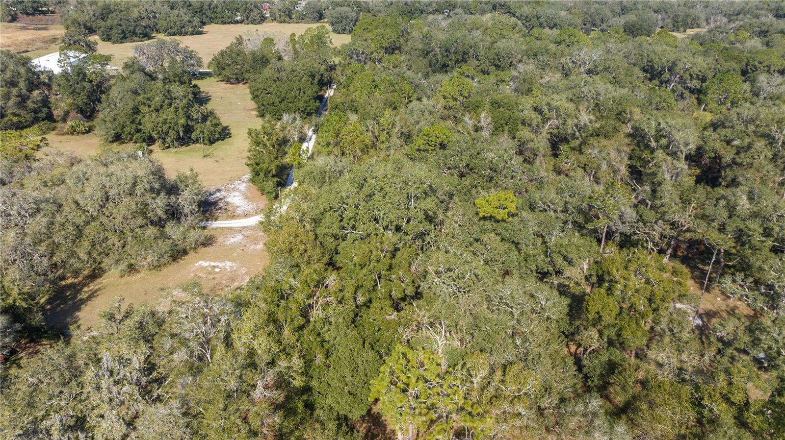 2511 SW 103RD RD, WEBSTER, FL, 33597