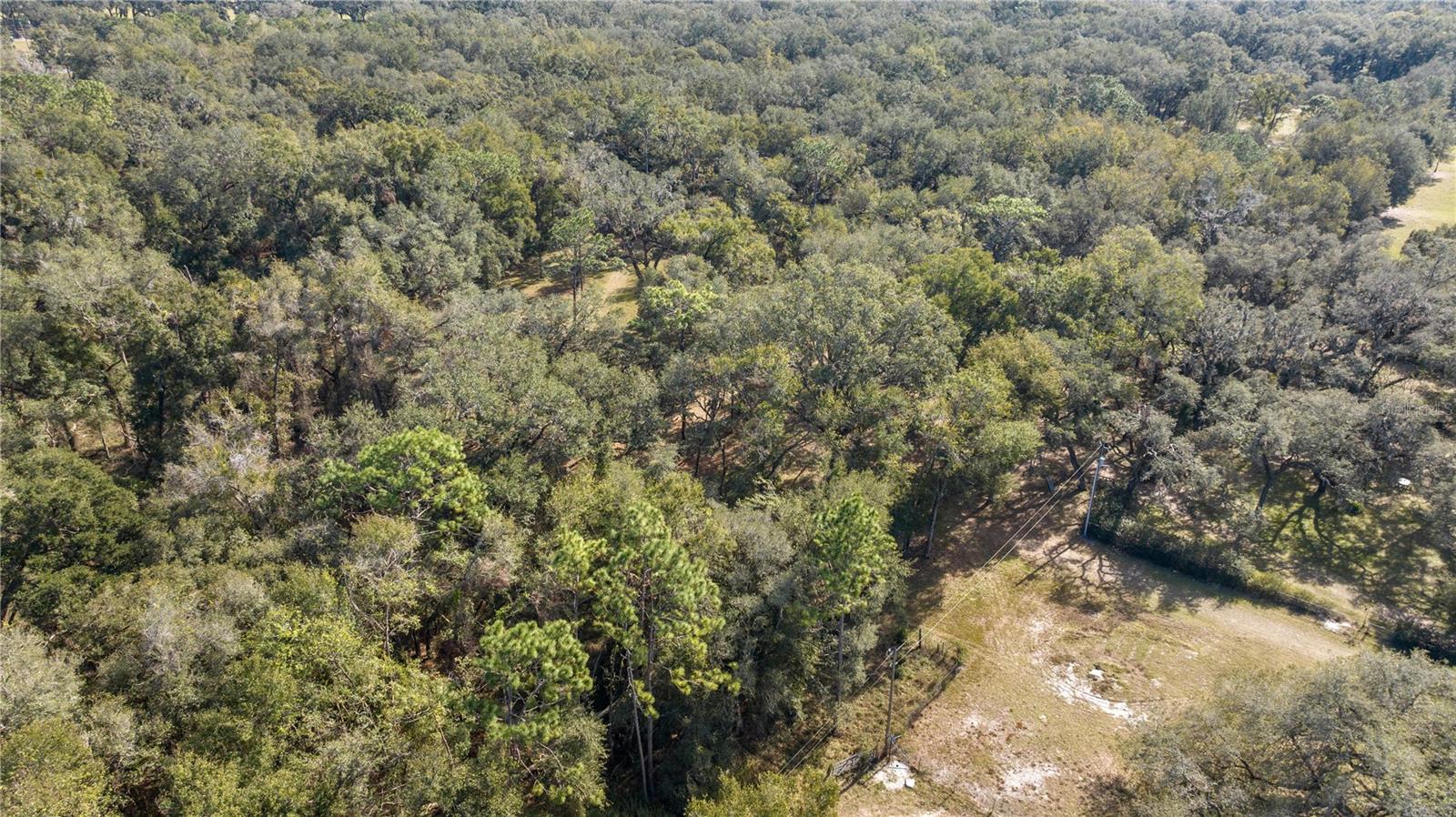 2511 SW 103RD RD, WEBSTER, FL, 33597