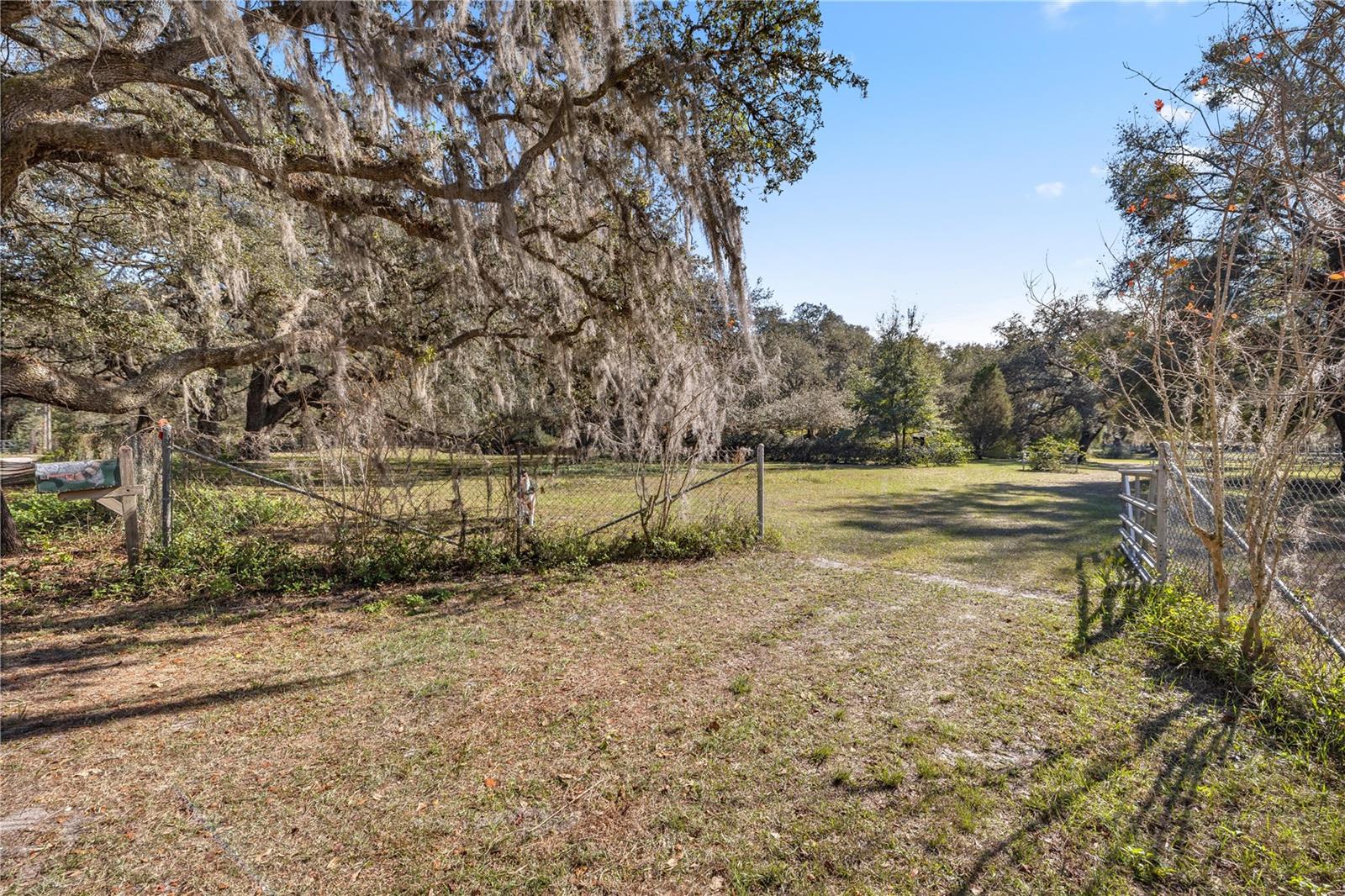 2511 SW 103RD RD, WEBSTER, FL, 33597