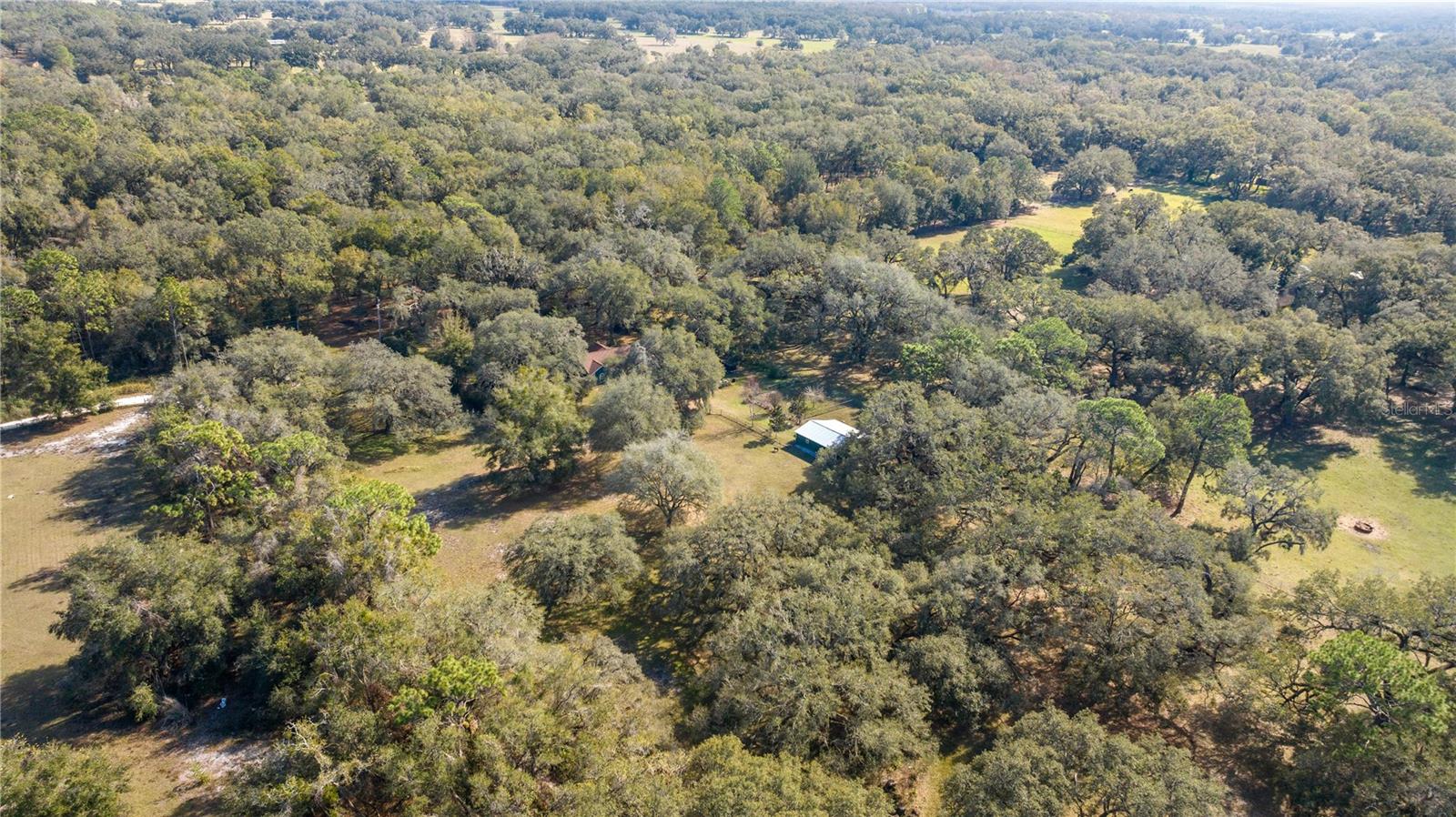 2511 SW 103RD RD, WEBSTER, FL, 33597