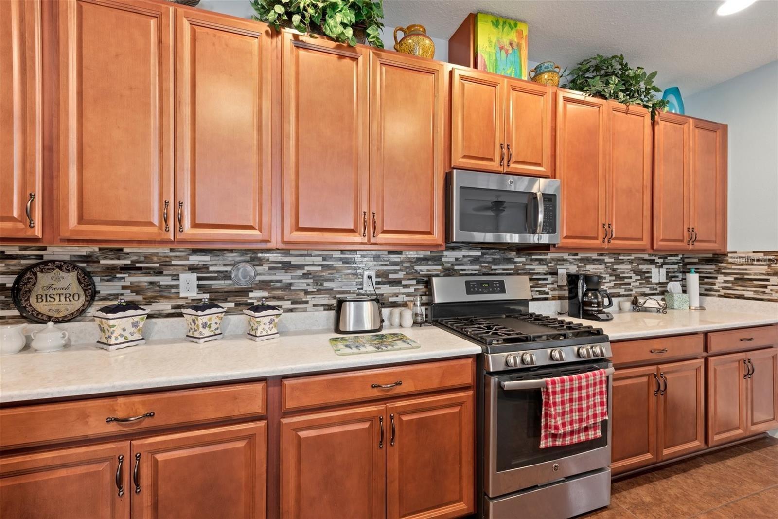 842 VISCOUNT ST, BRANDON, FL, 33511
