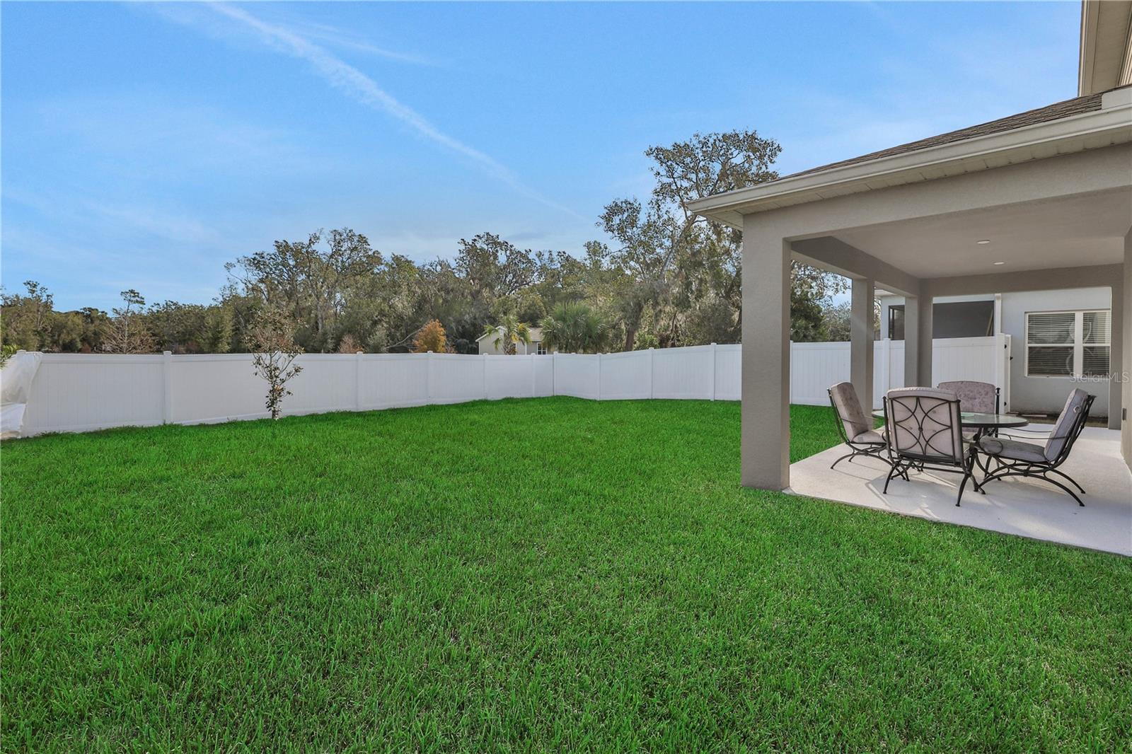 1806 SUMMER ROSE DR, MOUNT DORA, FL, 32757