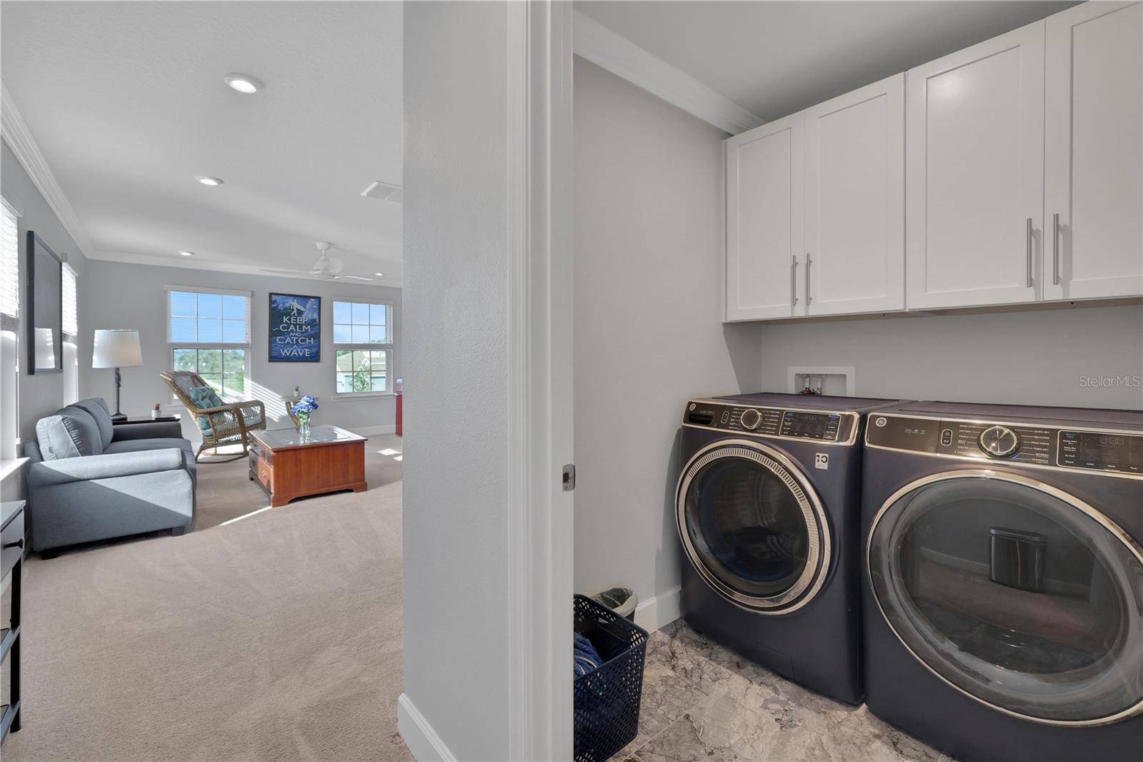 1806 SUMMER ROSE DR, MOUNT DORA, FL, 32757