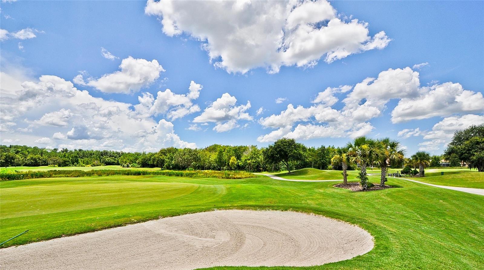 10325 MILLPORT DR, TAMPA, FL, 33626