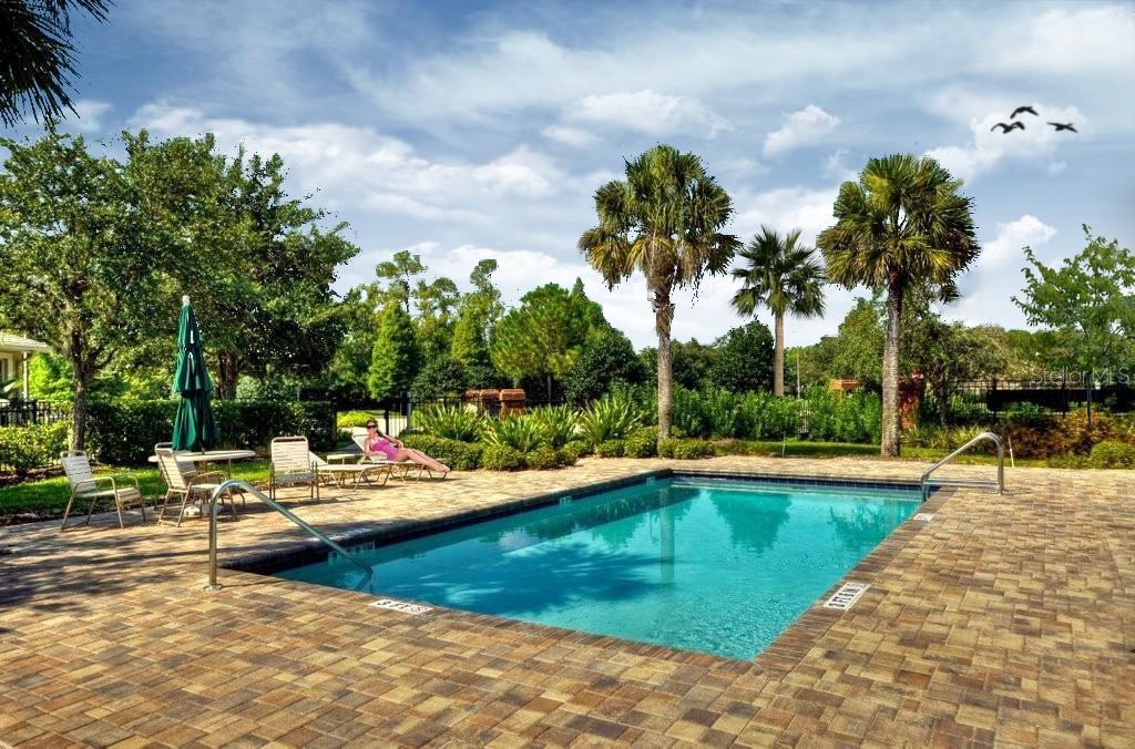 10325 MILLPORT DR, TAMPA, FL, 33626