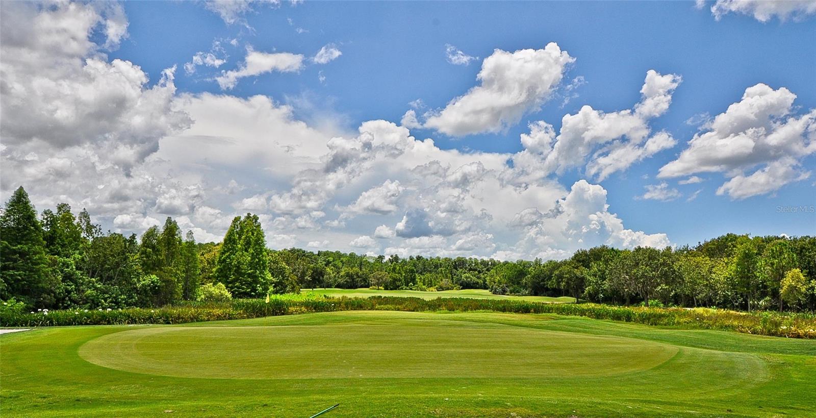 10325 MILLPORT DR, TAMPA, FL, 33626