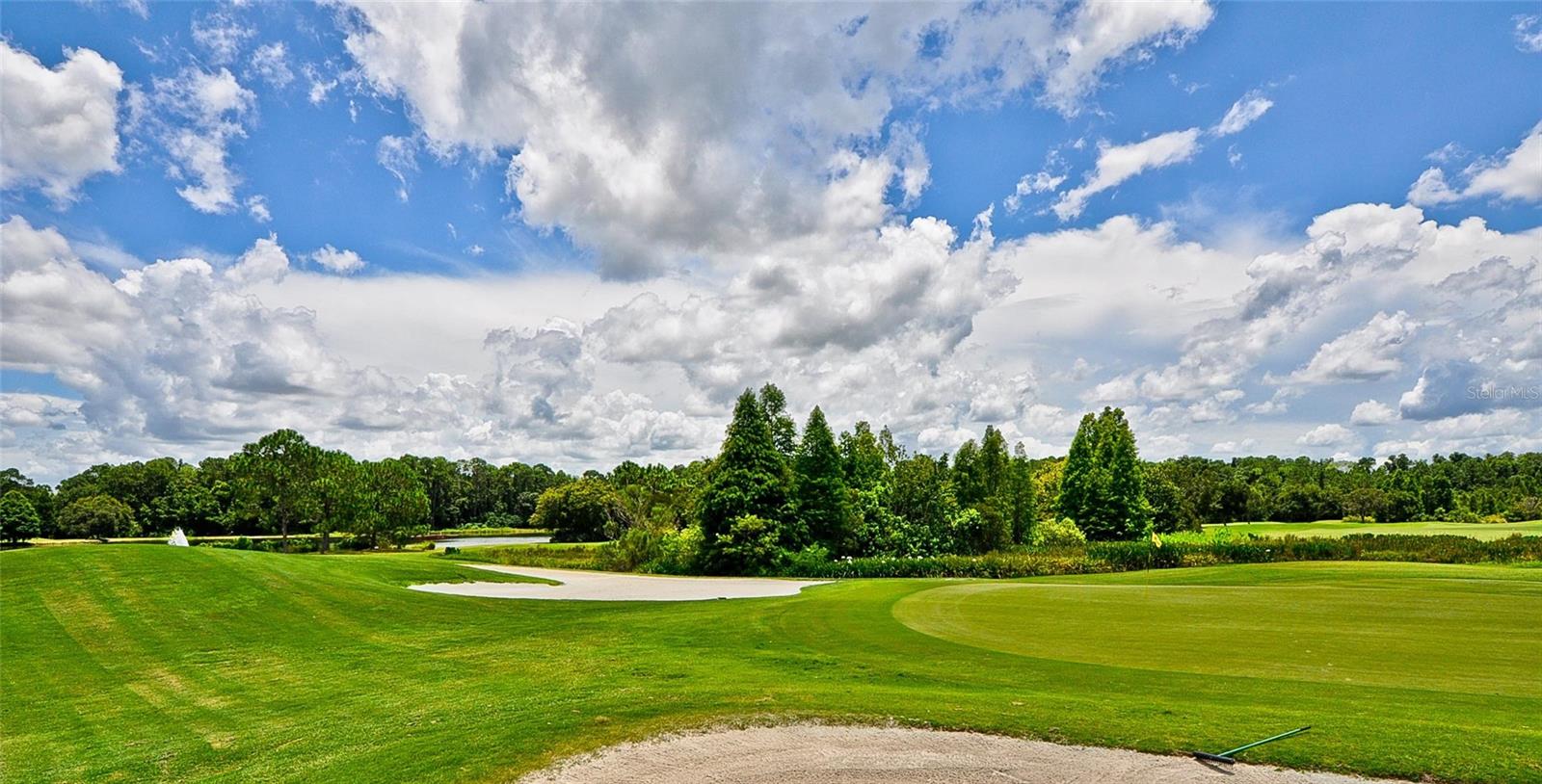 10325 MILLPORT DR, TAMPA, FL, 33626