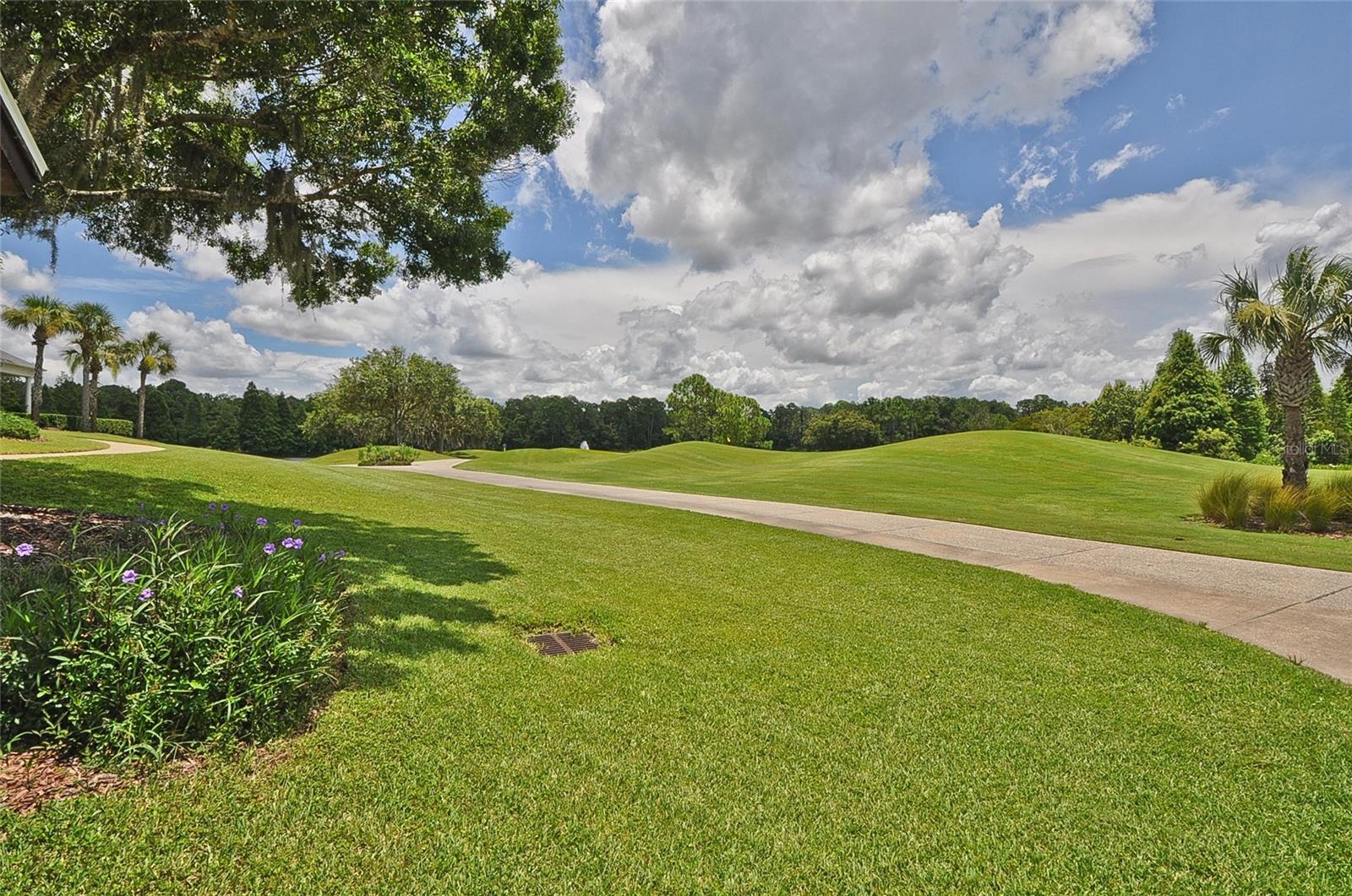 10325 MILLPORT DR, TAMPA, FL, 33626