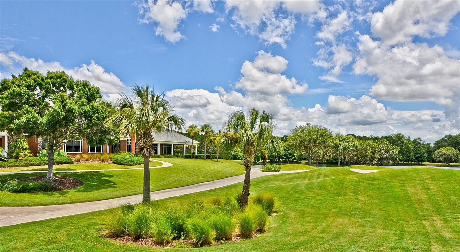 10325 MILLPORT DR, TAMPA, FL, 33626