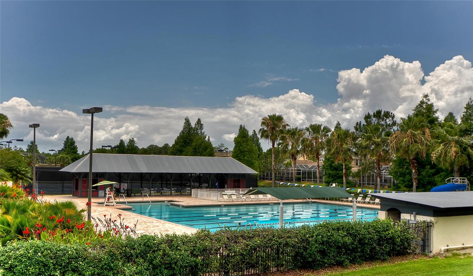 10325 MILLPORT DR, TAMPA, FL, 33626